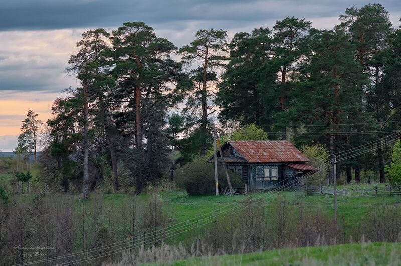 Заброшенный дом на краю леса фото превью