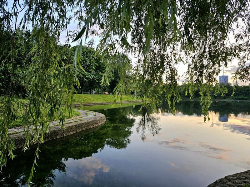 фото превью