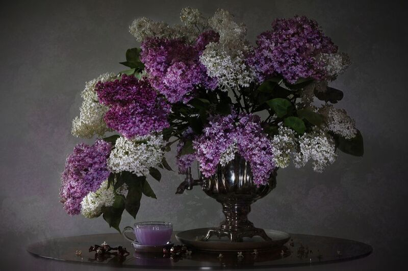 Сиреневое настроение фото превью