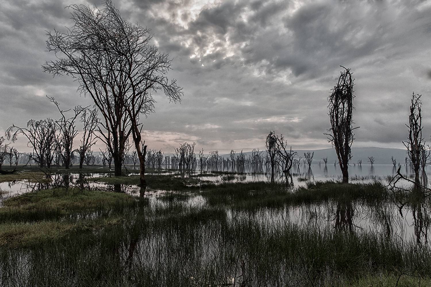 , Vorobeychik Vladimir