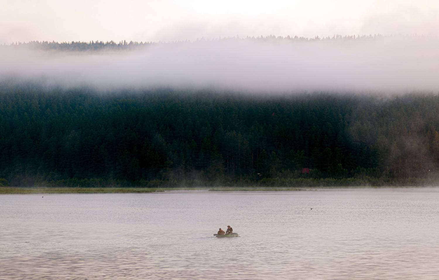 , Шустиков Дмитрий