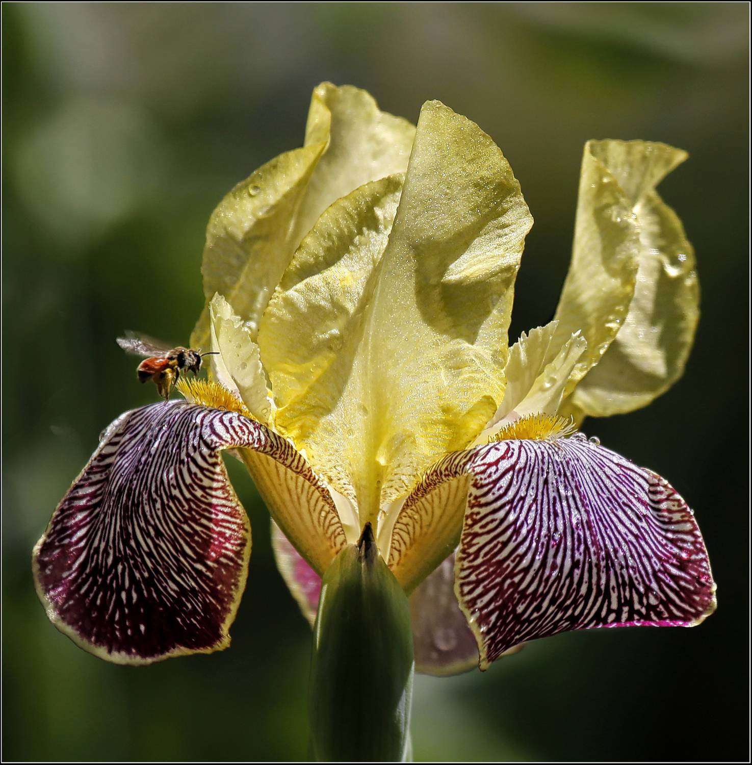 , Ушаков Валерий