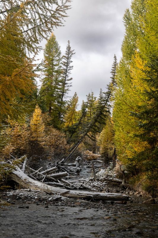 autumn, fall, river, russia, россия Осень фото превью