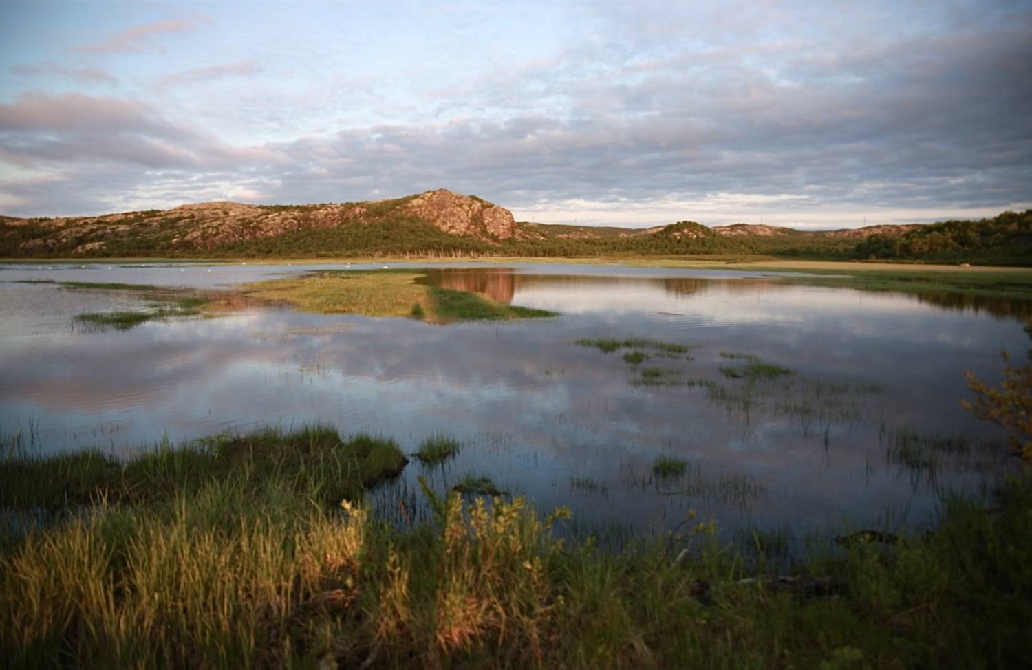 север, ночь, река, озеро, камни, вода, камыши, Алёна Салтыкова