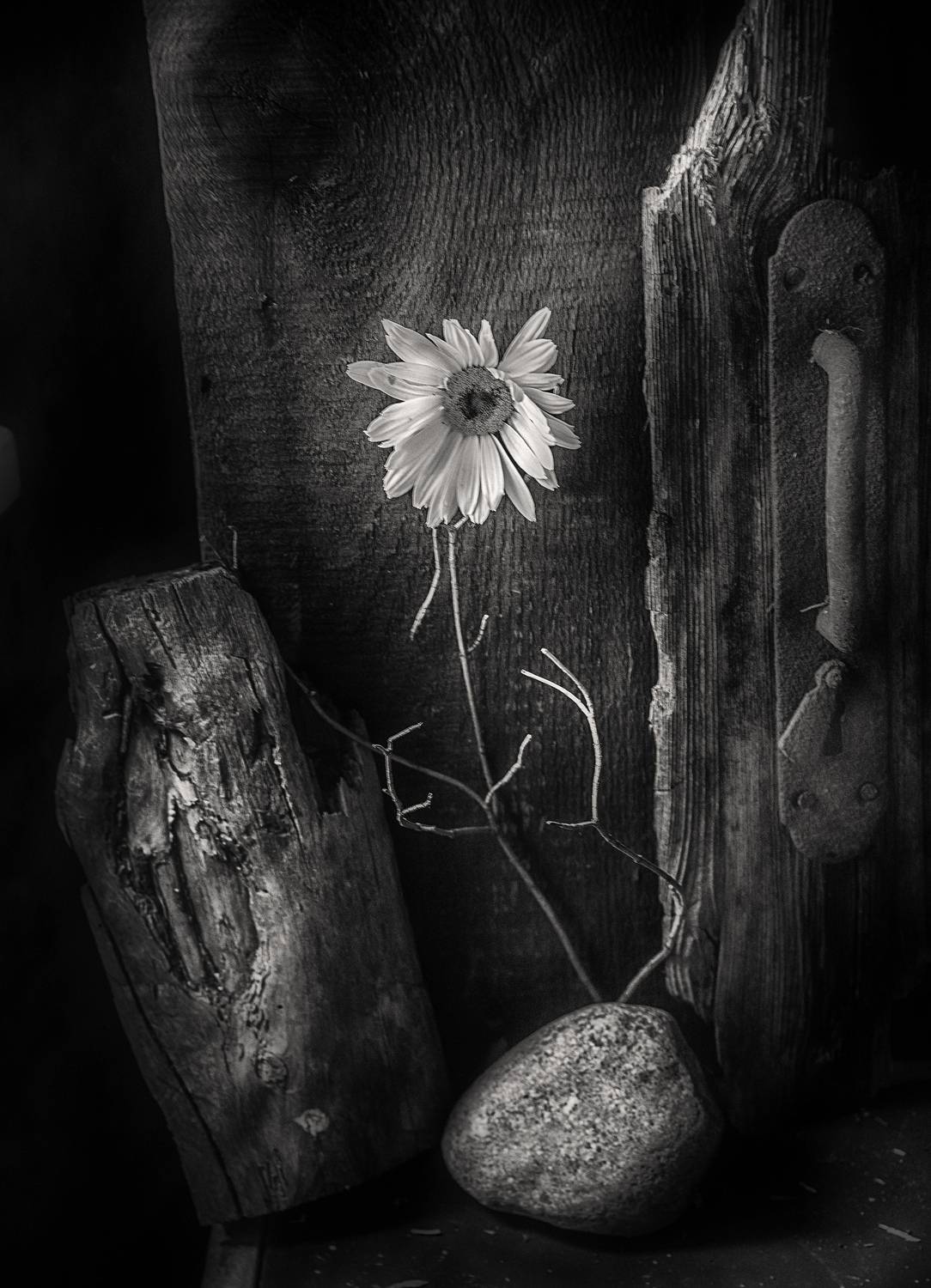 , Борис Кравецкий