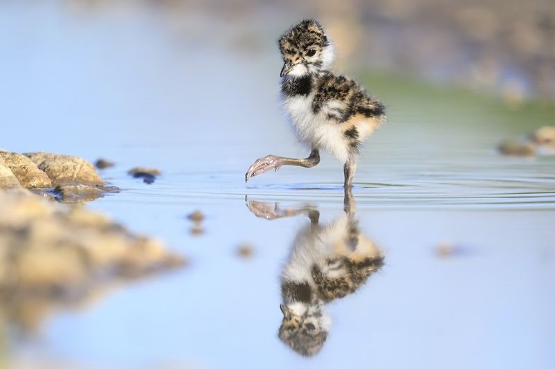 Юный исследователь фото превью