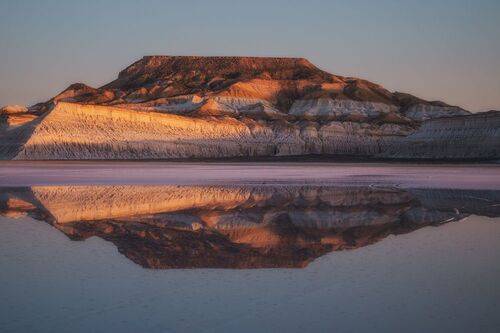 Корабль пустыни