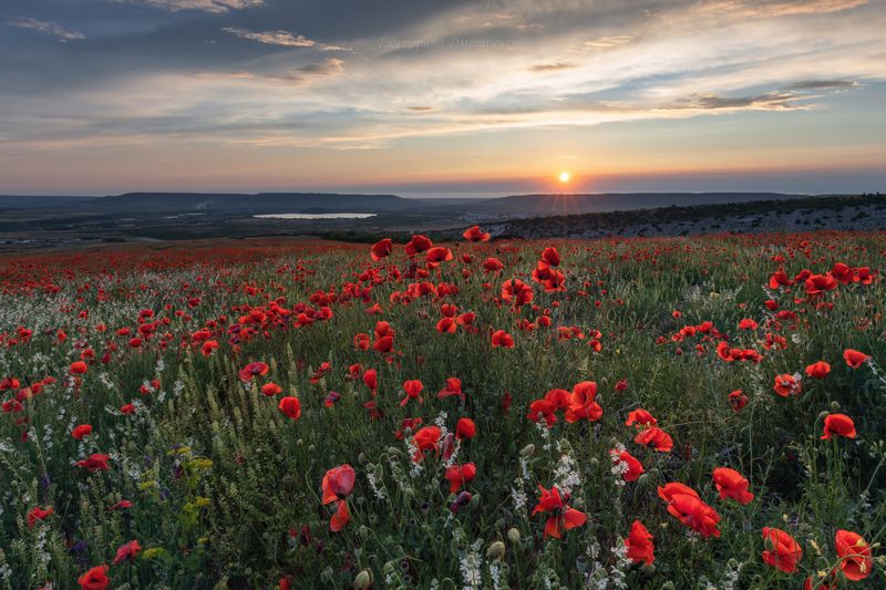 Живописный вечер в Бахчисарае⁠⁠ фото превью