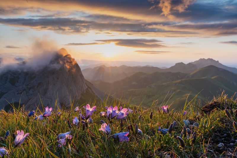 ачешбоки, чертовы ворота, адыгея, большой тхач, кавказ, горы, вечер, закат, цветы Колокольчики фото превью