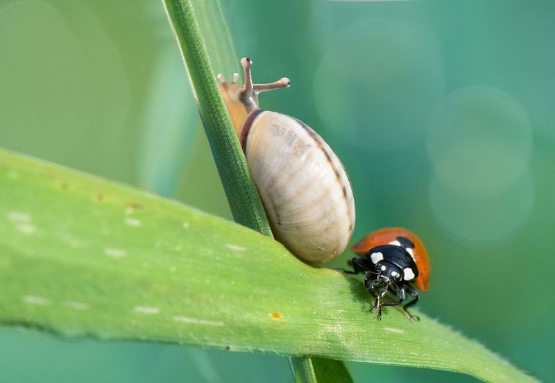 *Не по пути... фото превью