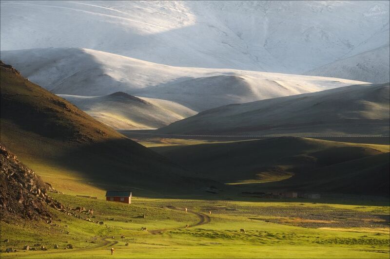 алтай, монголия, западная монголия, монгольский алтай, фототур на алтай и в монголию, фототуры 2025, phototravel.pro Утренняя идиллия фото превью