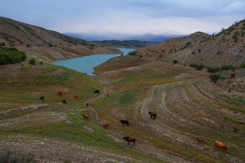 Чиркейское водохранилище.. фото превью