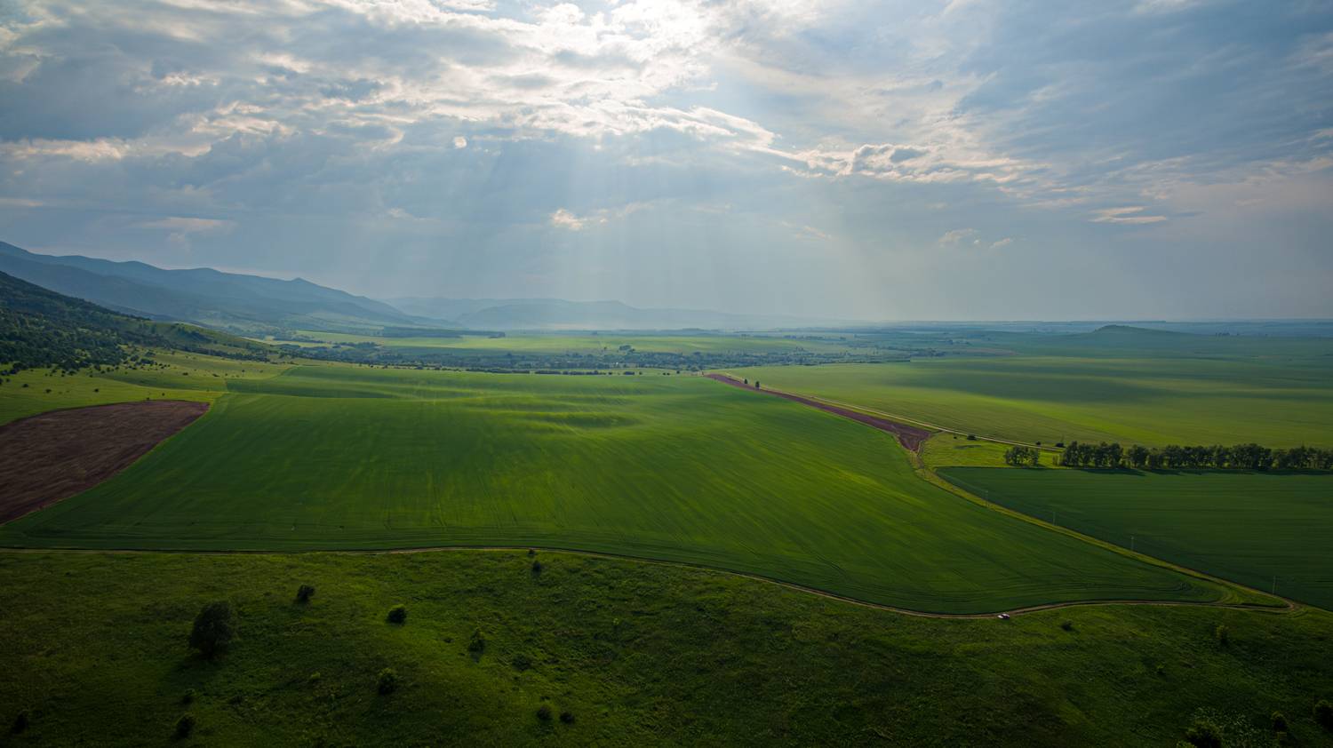 поля алтая, Татаркин Вячеслав