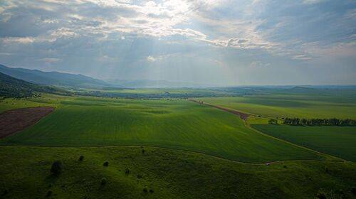 Солнечные поля