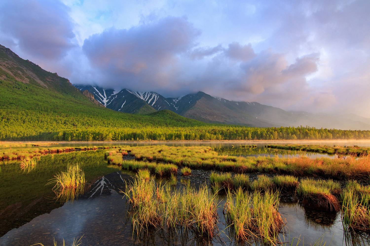 , Добролюбова Тамара