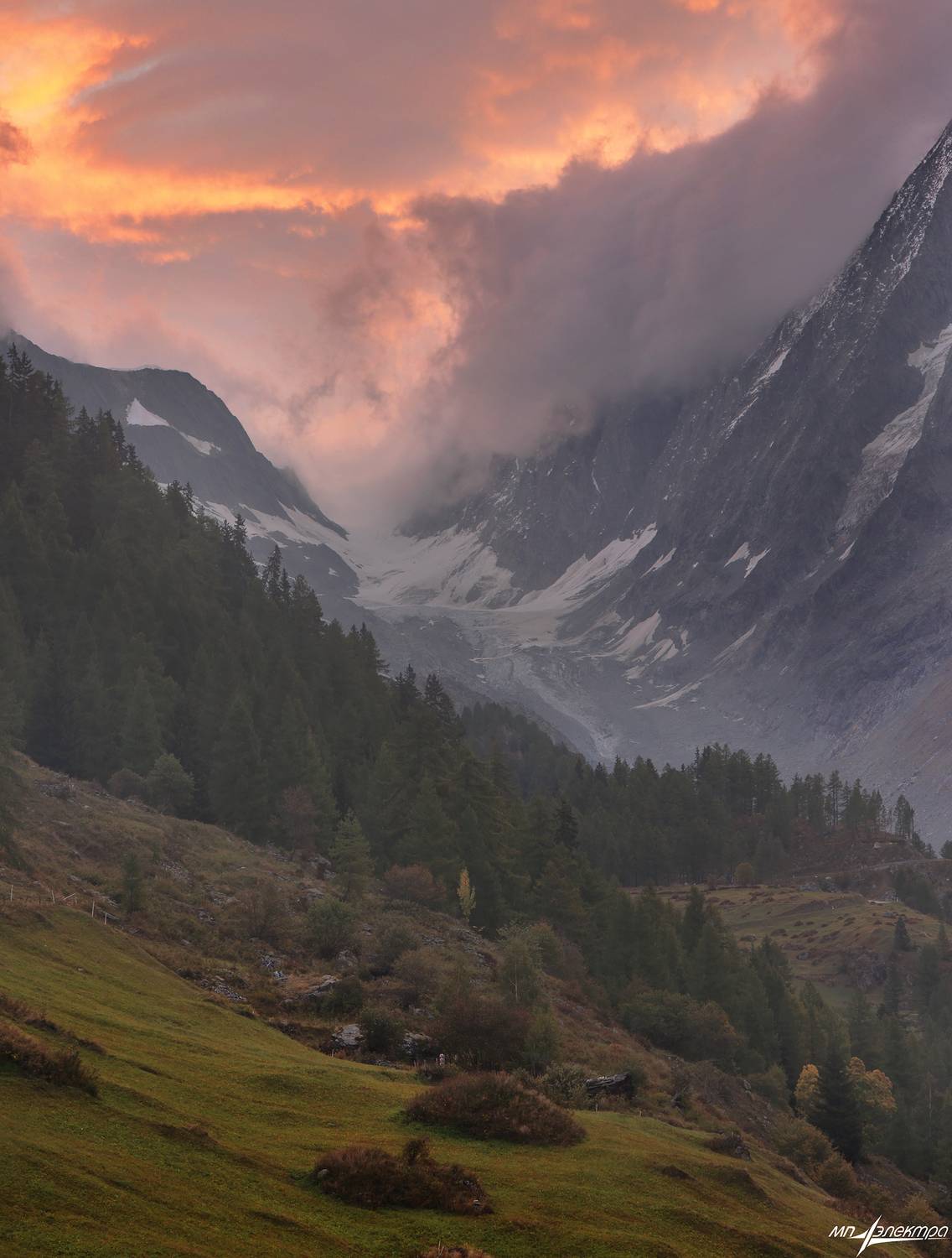 swiss, Матвеев Николай