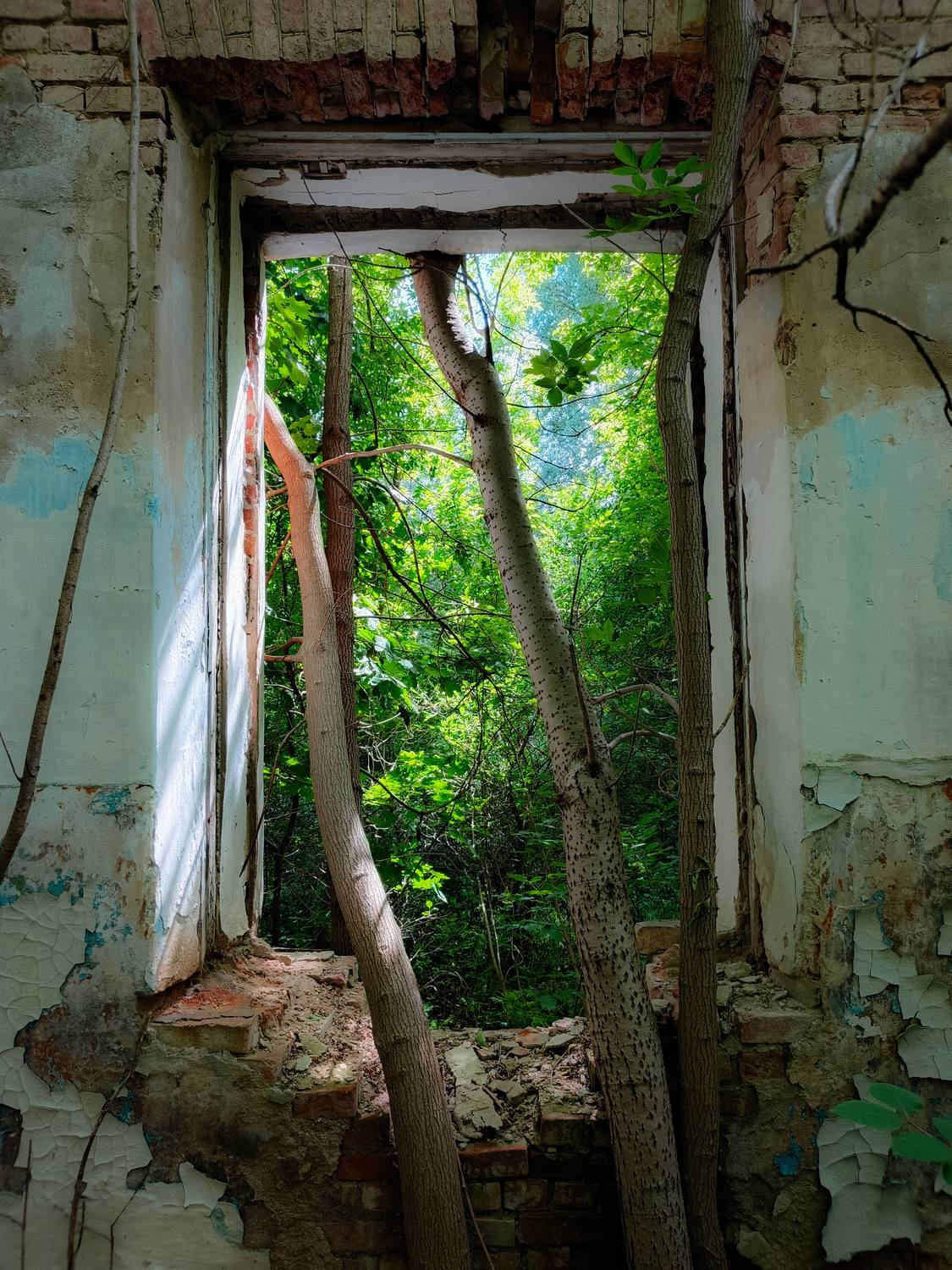 , Кондрашова Светлана