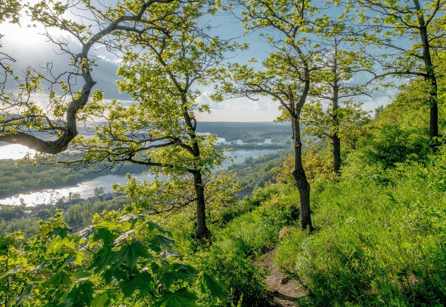 , Шустиков Дмитрий