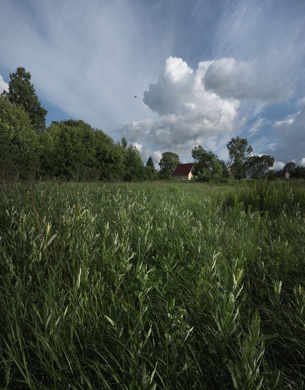 *** фото превью