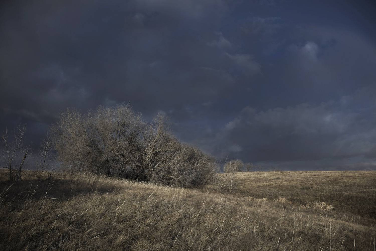 весна степь, Виктор Кириллов