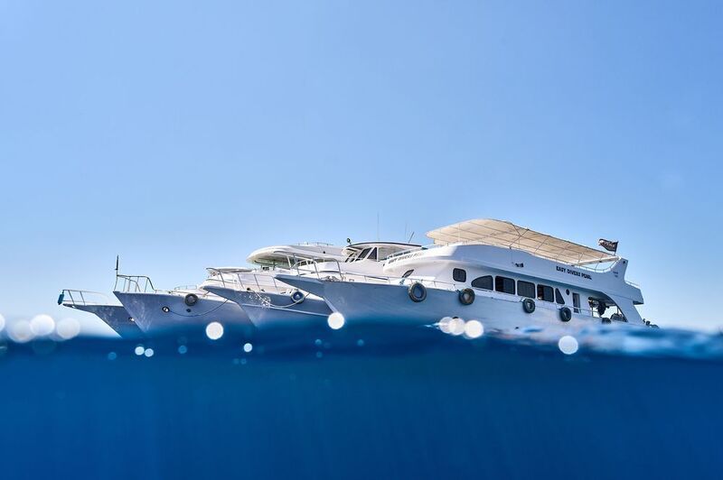 Fleet фото превью