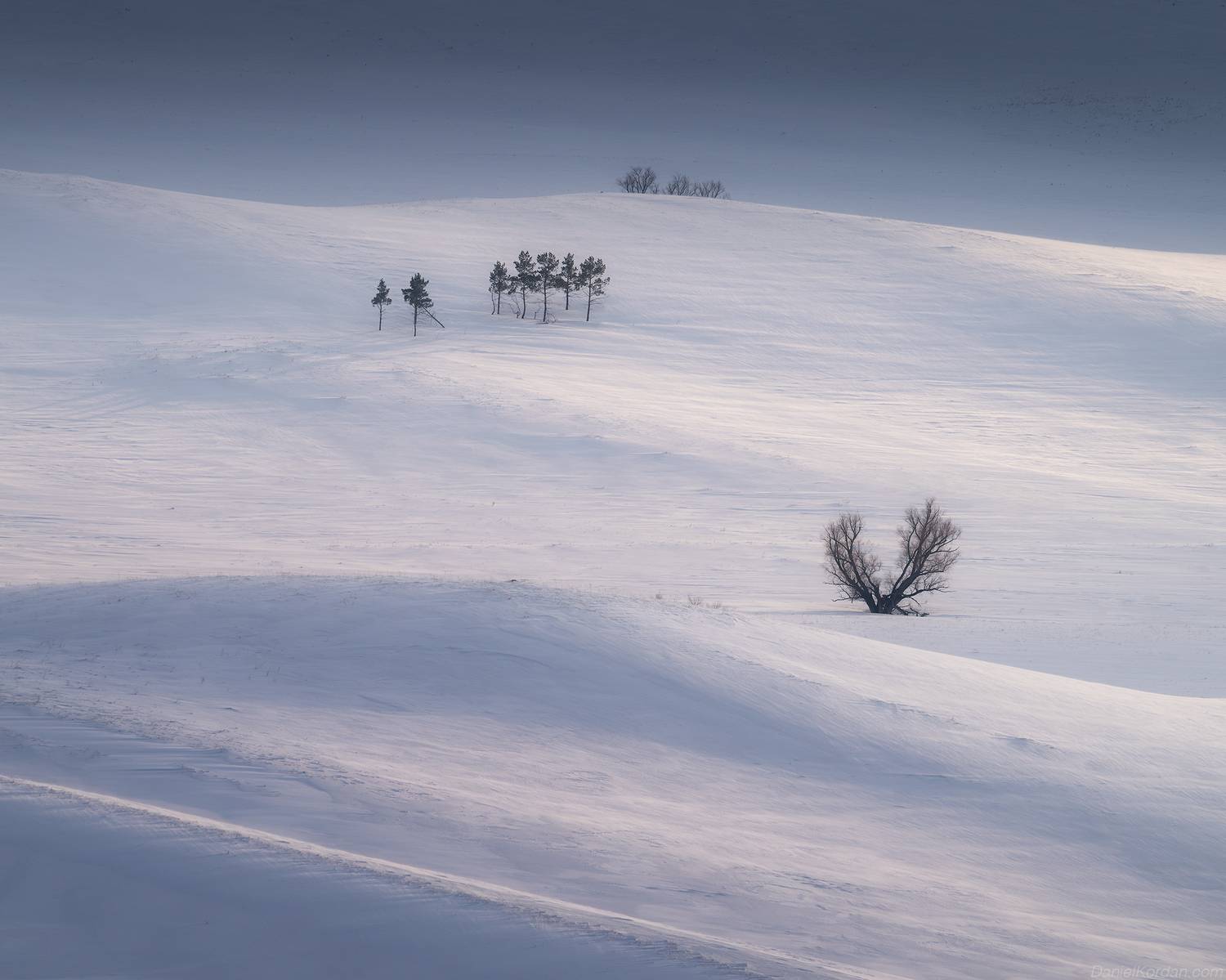 , Даниил Коржонов