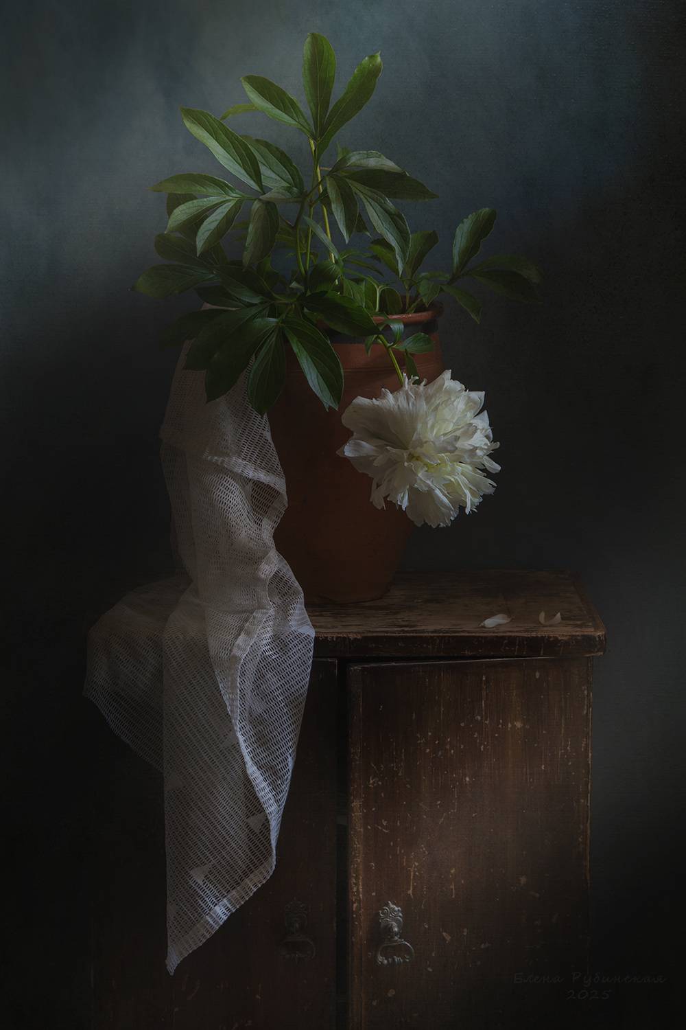 , Елена Рубинская