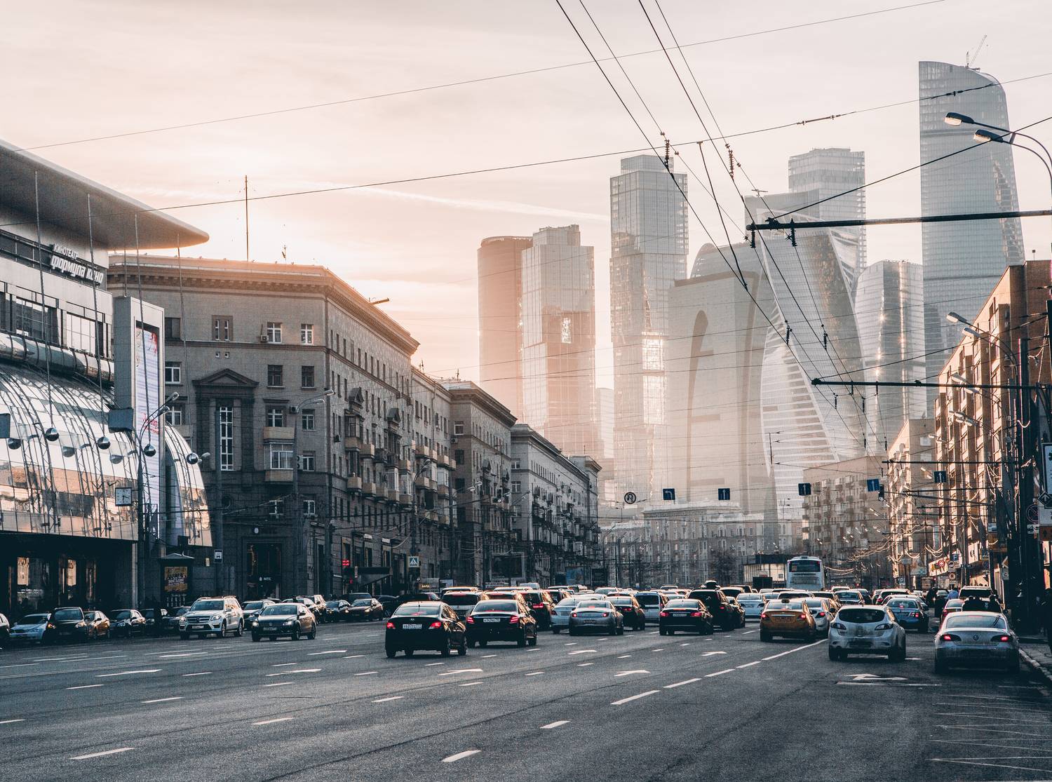 , Трепольский Дмитрий