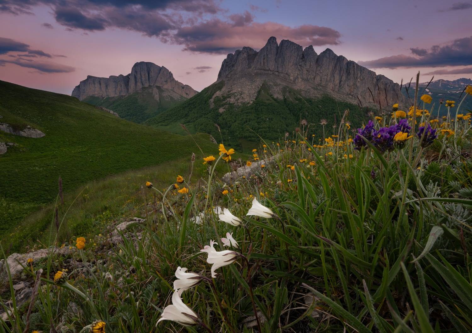 , Ширгин Сергей
