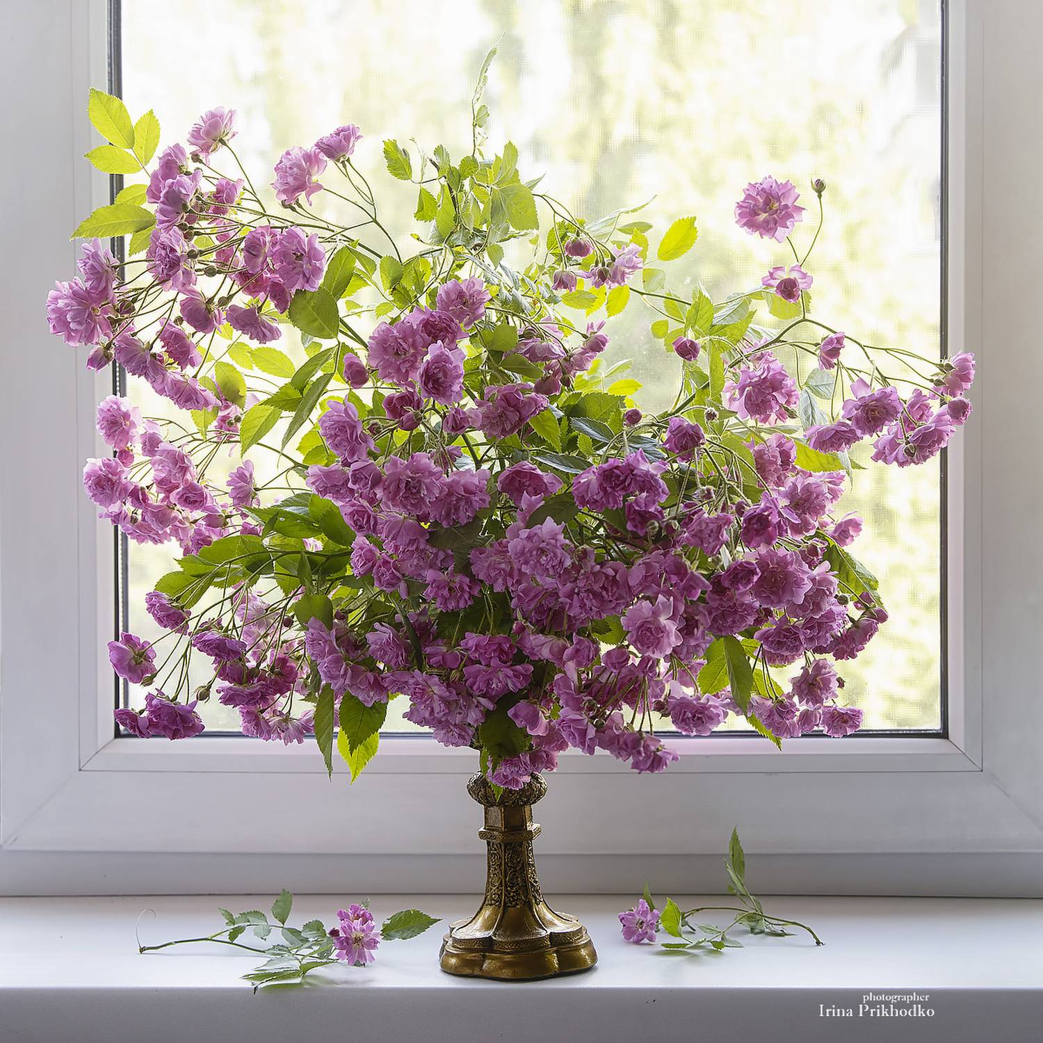 натюрморт, цветы, букеты, розы, Приходько Ирина