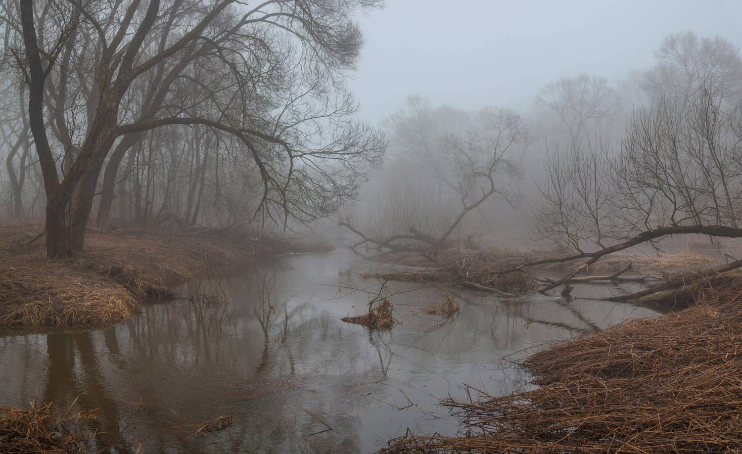весна, река, туман, Свистков Александр