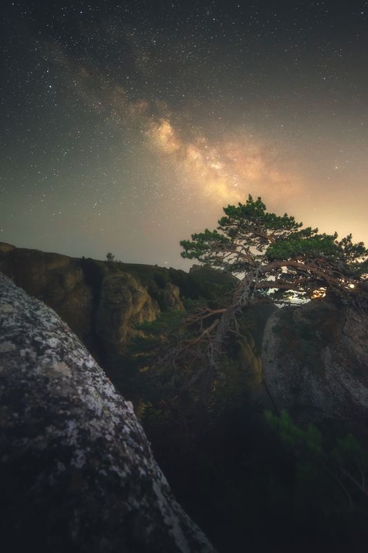 Цепляясь ветками за скалу и звёзды фото превью