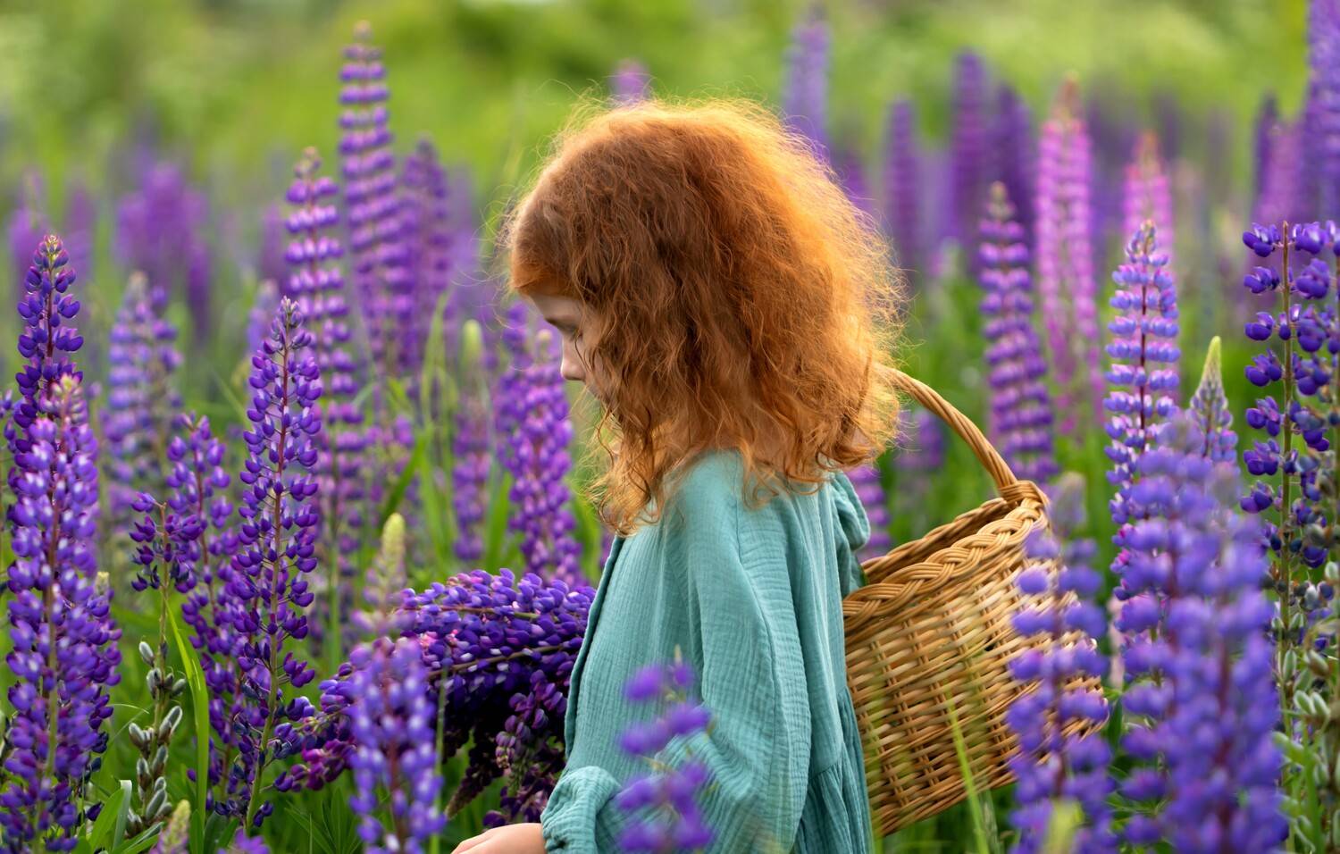 девочка, рыжие волосы, прогулка, люпины, лето, корзинка, Наталья Герцен