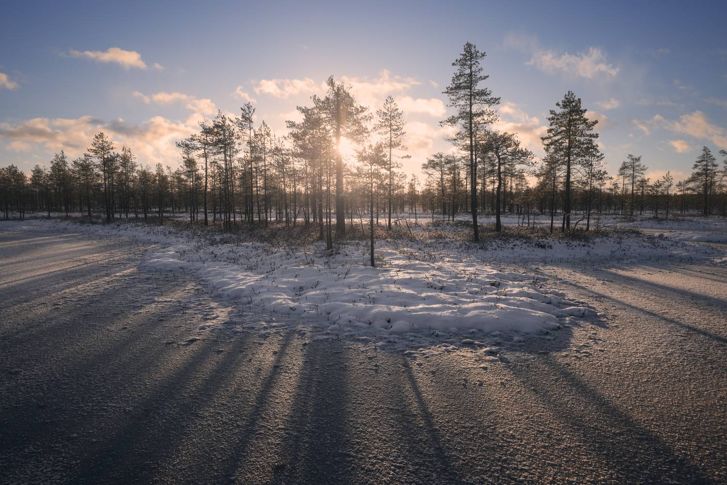nature, swamp, tree, outdoors, winter, landscape, snow, sunlight, blue, sunrise, frost, sun, ice, tranquil, пейзаж, природа, пейзаж, рассвет, болото, снег, Андрей