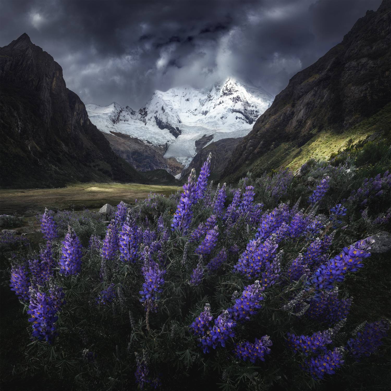 , Политова Анна