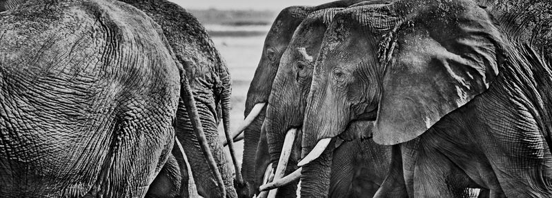 Прогулка фото превью