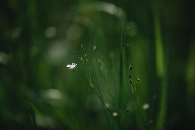Луч света в темном царстве фото превью