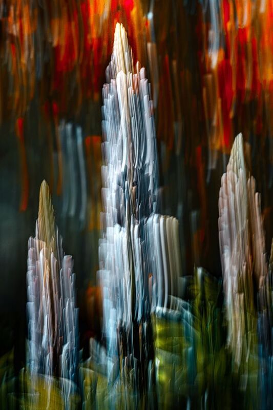 icm, люпин Skyscraper фото превью