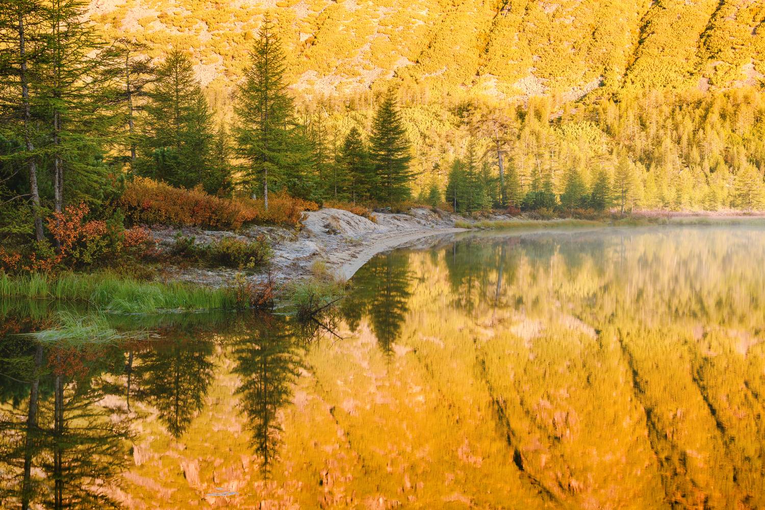 Озеро Джека Лондона , Евдокимов Максим