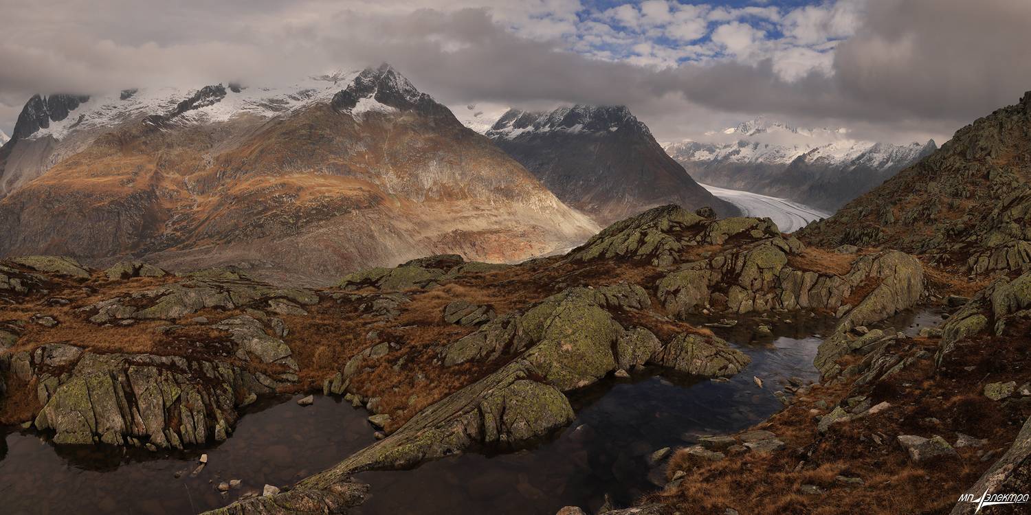 swiss, Матвеев Николай