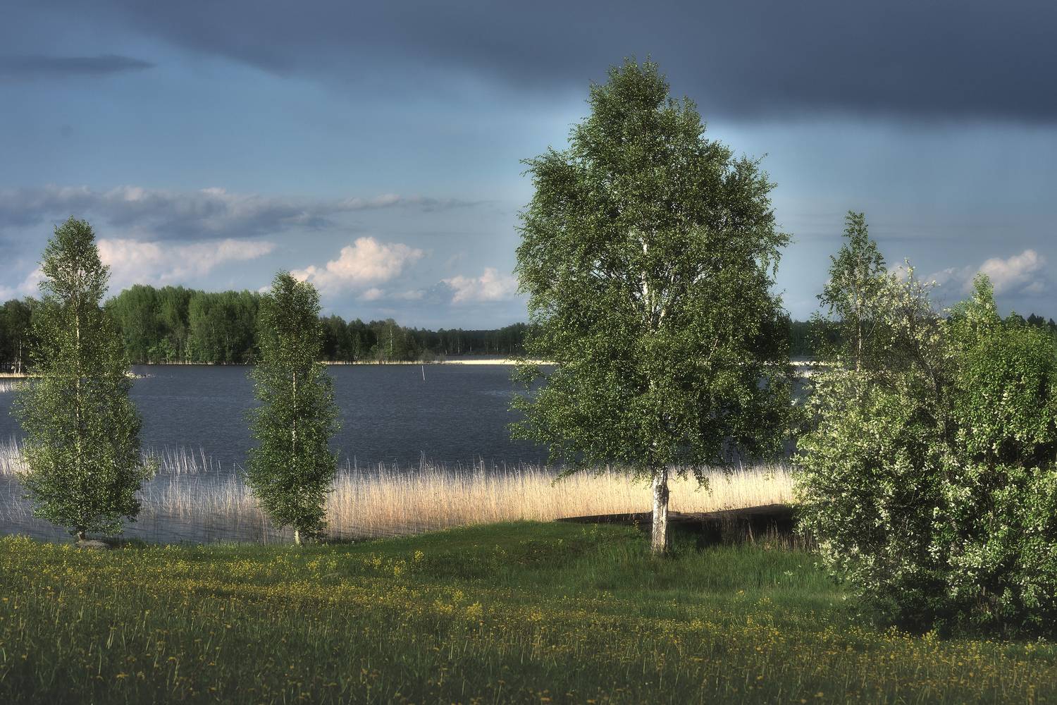 , Алексей Никонов