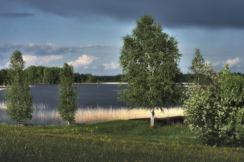 Перед грозой фото превью