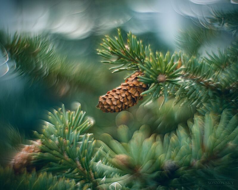 фото превью