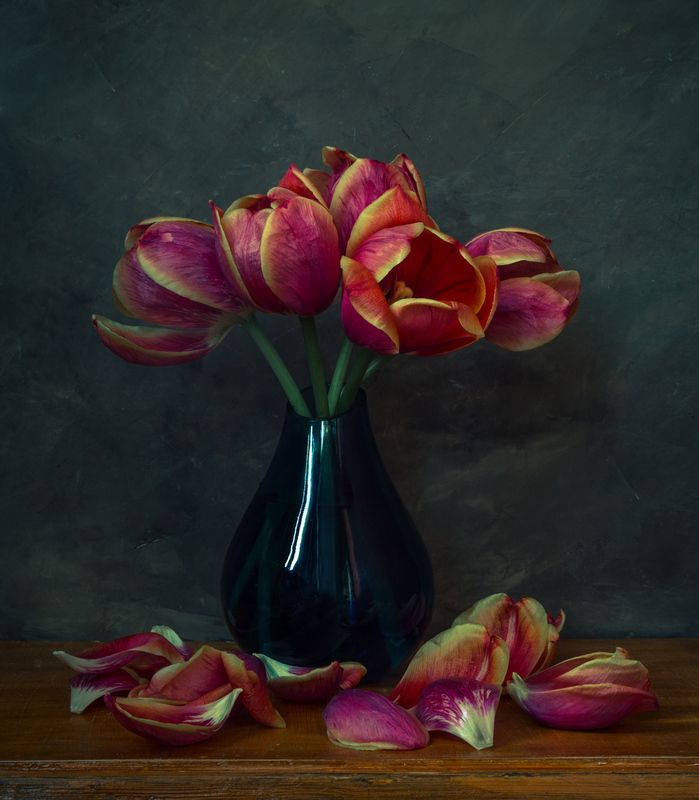 Тюльпаны. фото превью