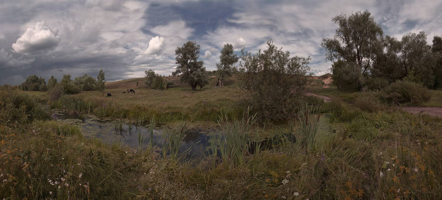 лето, Виктор Кириллов