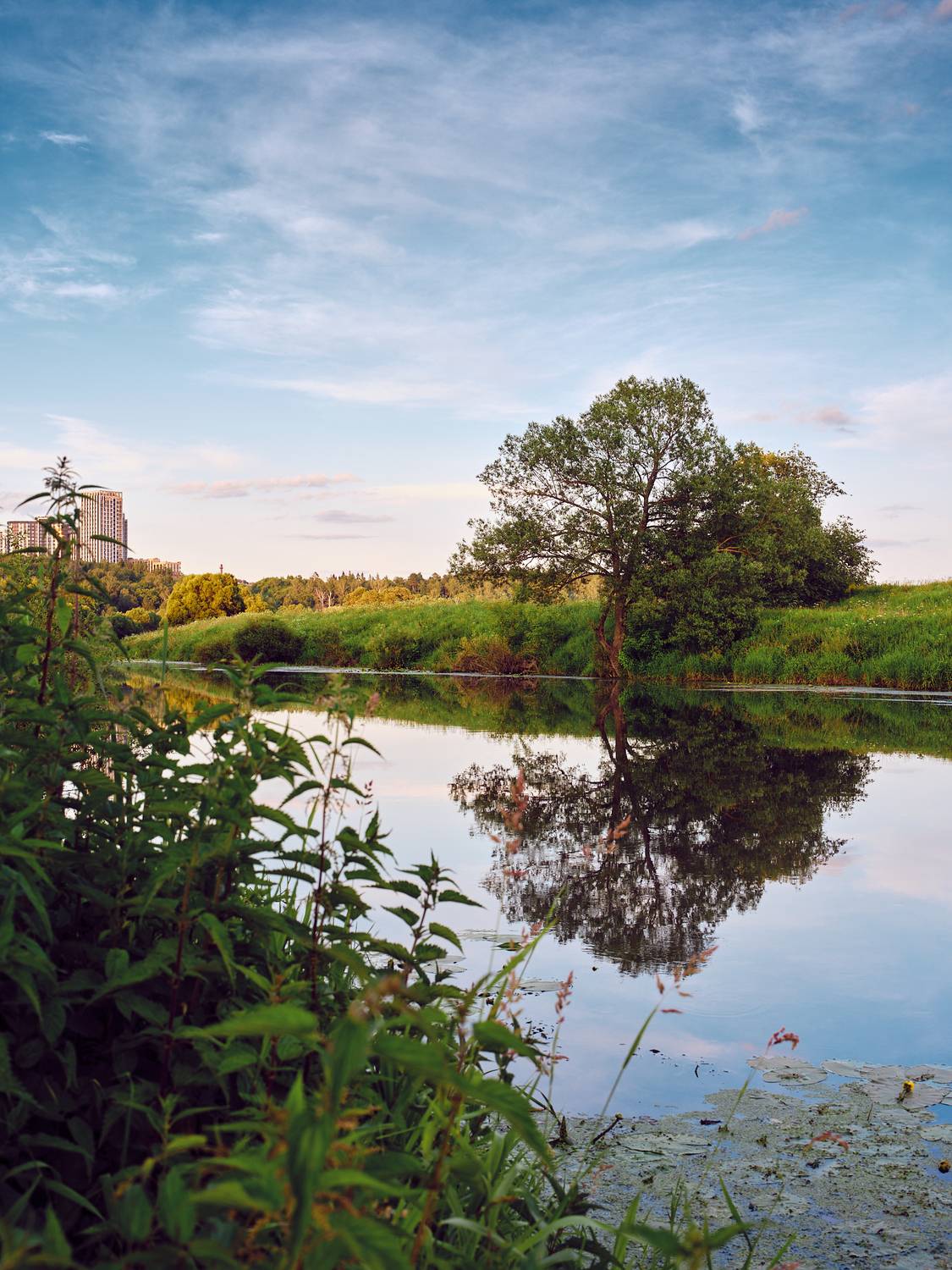 , Дыбов Дмитрий