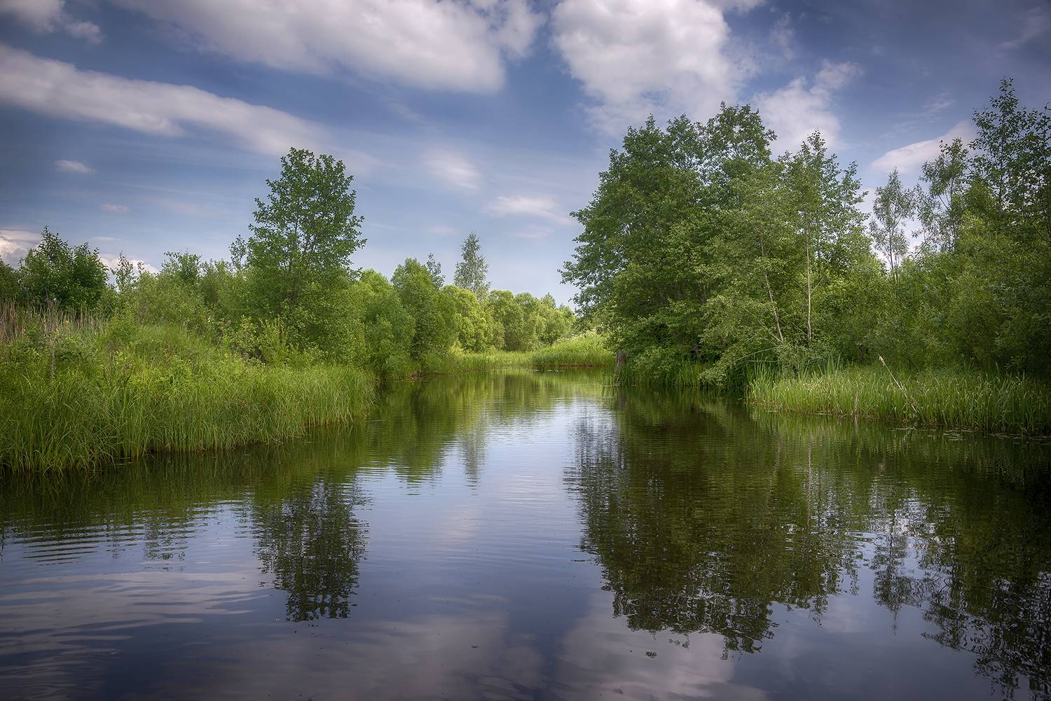 , Сергей Аникин