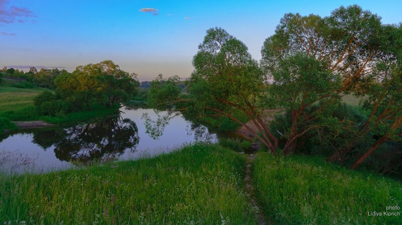 лето, вечер, река, ивы, июнь,времена года теплый вечер фото превью