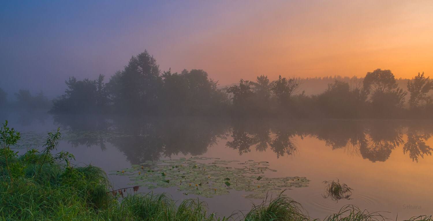 лето озеро туман рассвет природа пейзаж, Александр Строков