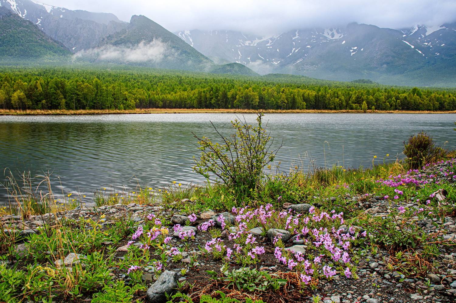 , Добролюбова Тамара